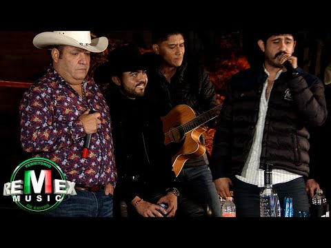 Diego Herrera - Bayo cara blanca ft. Beto Zapata (Puras de caballos Vol. 2)