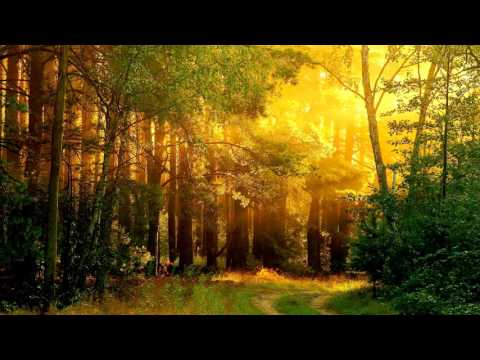 Epidemic Sounds - Serene Story 2