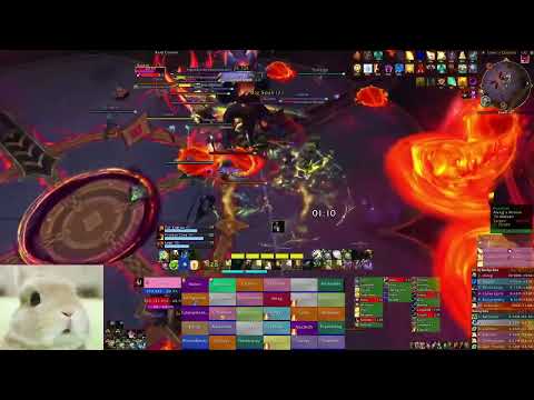 Aberrus Heroic - All Bosses Holy Paladin (poptart corndoG)