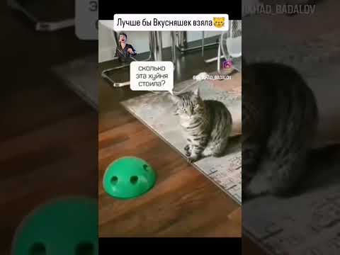 #психология#психовнет#взаимнаяподписка