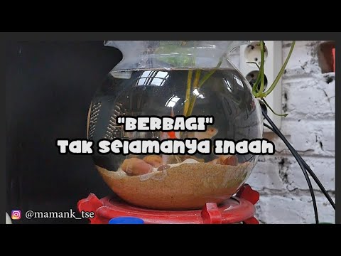berbagi-covid-ngakak-poll-film-pendek-sekali