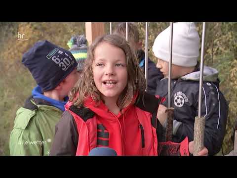 Projekt vom 05.11.2021 "Ab in die Hecke - Ein Heim für Haselmaus und Co."