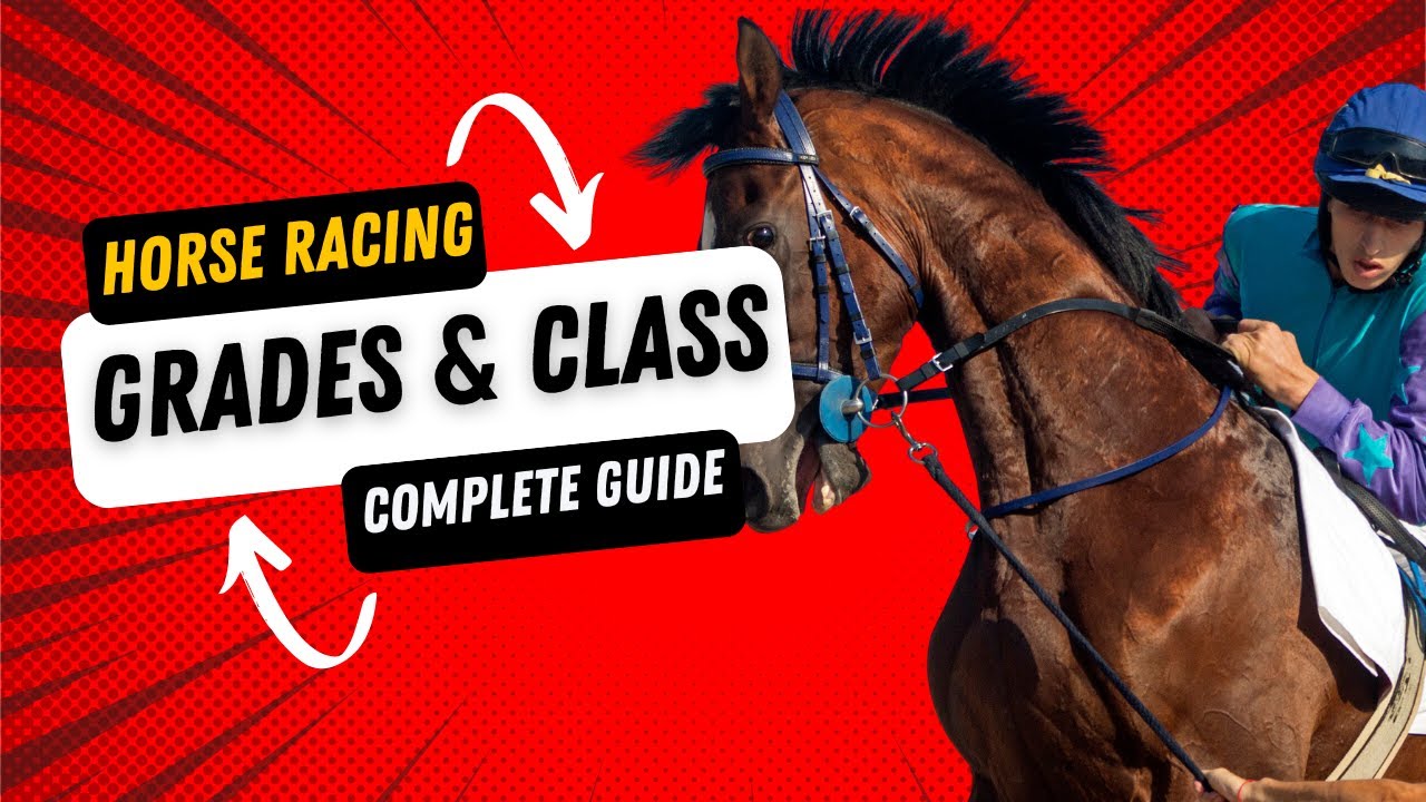 Horse Racing Grades, Groups and Classes - The Complete Guide