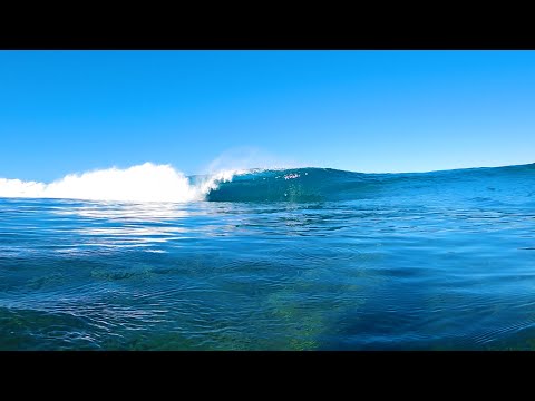 SURFING POV - DRILLED ON THE REEF
