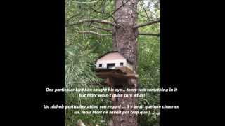 THE STORY OF MIKI -  A CAT WITH A TALE