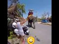 Fuuny Elephant Tail Hit