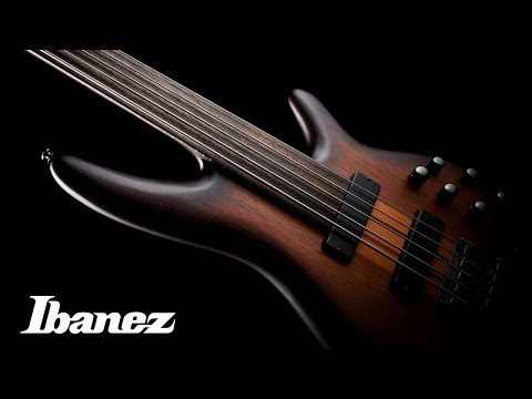 Ibanez SRF705 BBF Bass Workshop Fretless 5-String Electric Bass - Brown Burst Flat image 12