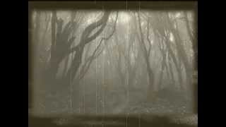 Evanescence - Understanding (Wash It All Away) - Lyrics [Long Version]