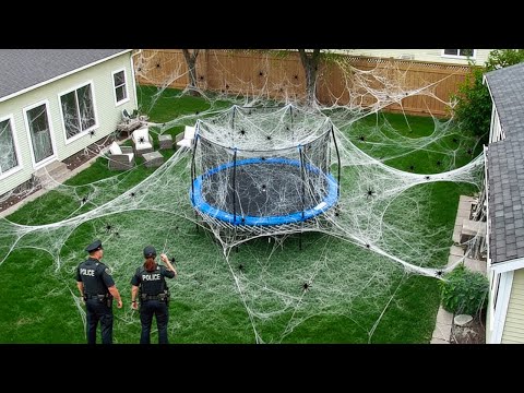 That Really Happened in People's Backyards