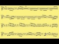 Violin Call Me Maybe Carly Rae Jepsen