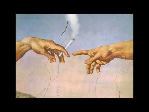 Bekon71 x Bilu - SNH