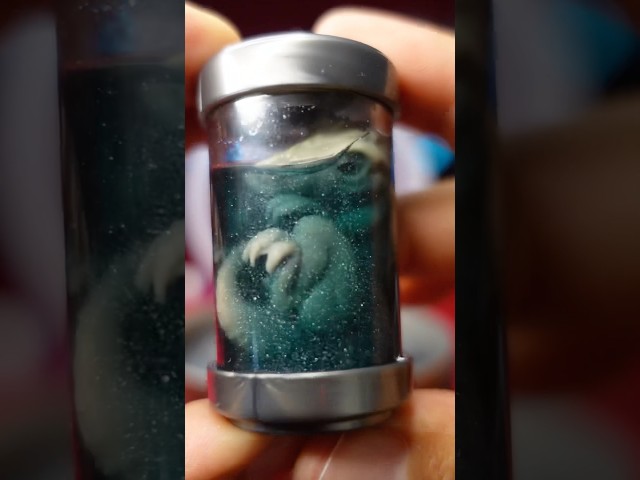 Vídeo relacionado con TOGHPUW Indominus Rex, Distortus Rex, Juguetes De Dinosaurios, Figuras De Giganotosaurus De Dinosaurio, Juguetes De Animales Marinos