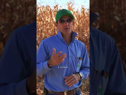 Colheita no SCH em Montividiu/GO