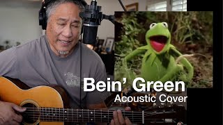 Bein&#39; Green (Sesame Street, Muppets) - Acoustic Cover (1973 Martin 00-21)