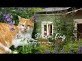 Cosy Rainy Day In The Studio The Art Of Simple Living Cottage Garden Jobs