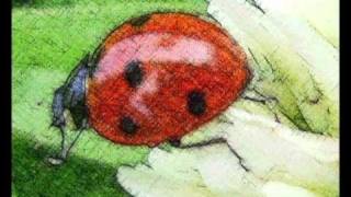 The Clarks - Gypsy Lounge