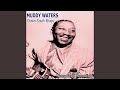 Mean Disposition - Muddy Waters - Topic Mean Disposition
