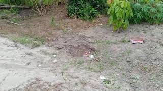 Download lagu NEMU MAINAN ULTRAMAN DI LUMPUR mp3 Download lagu NEMU MAINAN ULTRAMAN DI LUMPUR mp3