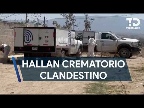 Descubren crematorio clandestino en El Salto; han encontrado 17 bolsas con restos humanos en la zona