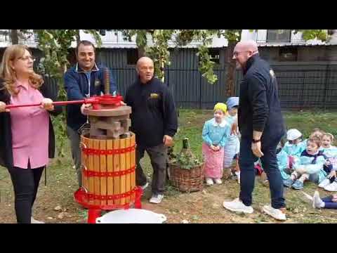 Che bello vendemmiare!