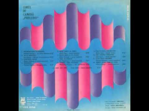 Corul de camera "Preludiu"-Mare hiba-i la JIbau