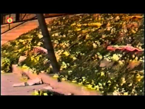 NAC-supporters herdenken Andro Knel met wedstrijd