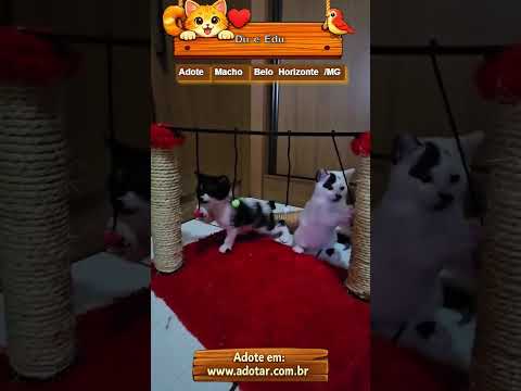 Vídeo de Du