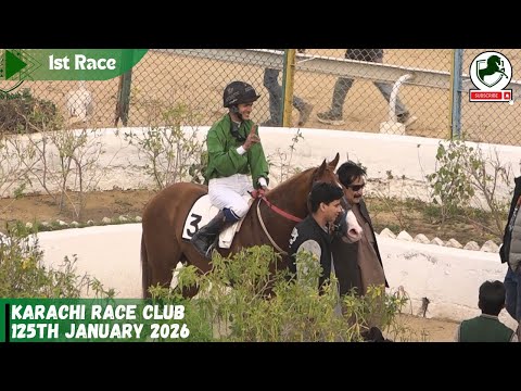 KRC  | 1st Race   25th January 2026  WINNER   YOUNG HERO