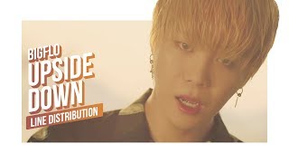 BIGFLO - Upside Down Line Distribution (Color Coded) | 빅플로 - 거꾸로