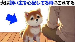 犬は飼い主を心配してるときにこれをする