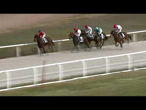 2021.11.28. 03. futam -  TOTALIZATŐR HENDIKEP (Elit o.) (szintetikus pálya)