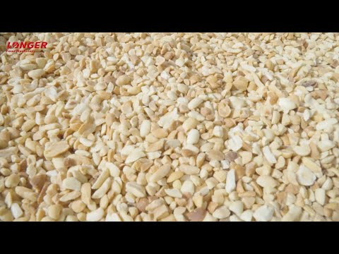Automatic Peanut Roasting and Chopping Line