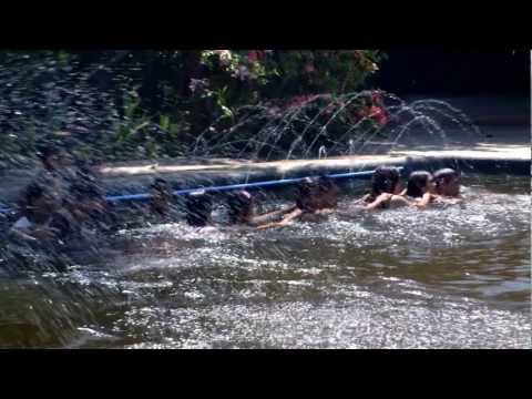 SSG FAREWELL 2013 (Ramon Torres Taloc NHS)