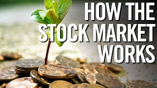 STOCK MARKET FOR DUMMIES 📈 How The Stock Market Works