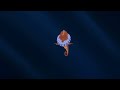 King Triton S Lament Rescored