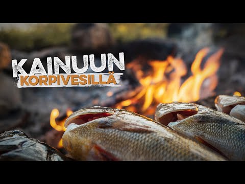 Kaksi päivää kalassa soutuveneellä – Yllättävien tärppien reissu