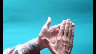 Wenn das Wasser im Rhein goldner Wein wär