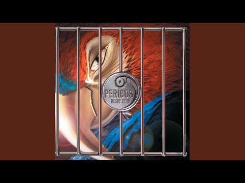 Videoclip de Dias De Sol (Album Version) — Los Pericos