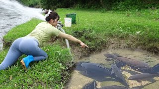 Full Video: How To Catch Fish In The Wild, Girl's Fishing on Rivers and Lakes, Harvesting Giant Fish