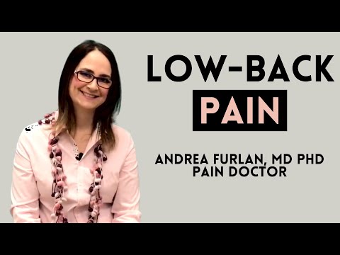 , title : 'Low Back Pain by Dr. Andrea Furlan MD PhD'