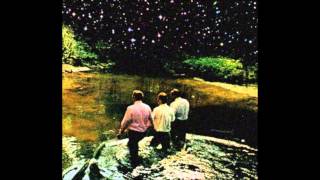 and you will know us by the trail of dead - wasted state of mind