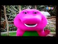 Barney I Love You Ducks And Fish