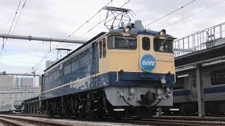 EF65形1115号機 撮影会「望郷の名機、その姿、悠然たるや。」