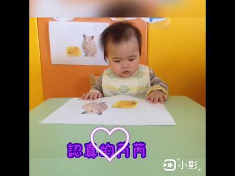 子芮1歲生日10905