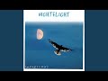 Nightflight - Part 4