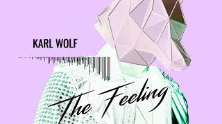 Karl Wolf - The Feeling (Extended Mix)