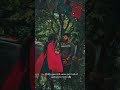 ️Jeyam Movie Love Feeling Bgm WhatsApp Status In Tamil Jeyam Lovetamilwhatsappstatus Yasne