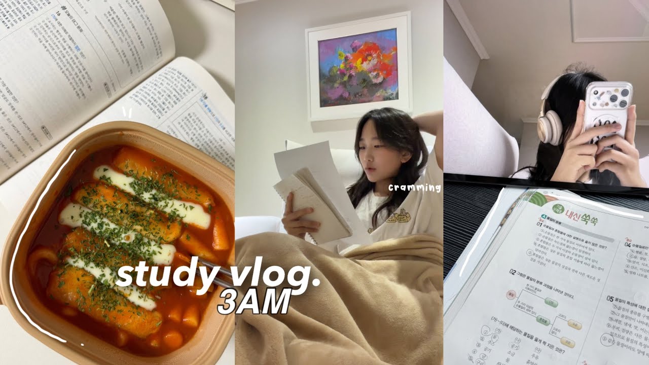 3AM STUDY VLOG: cramming for final exams, productive days as a korean student