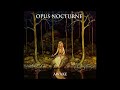 OPUS NOCTURNE - WAITING FOR SOMETHING - 2017 (BONUS TRACK)