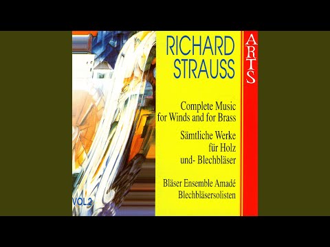 Festmusik Der Stadt Wien Für Blechblasinstrumente Und Pauken, Op. AV133 (Strauss)